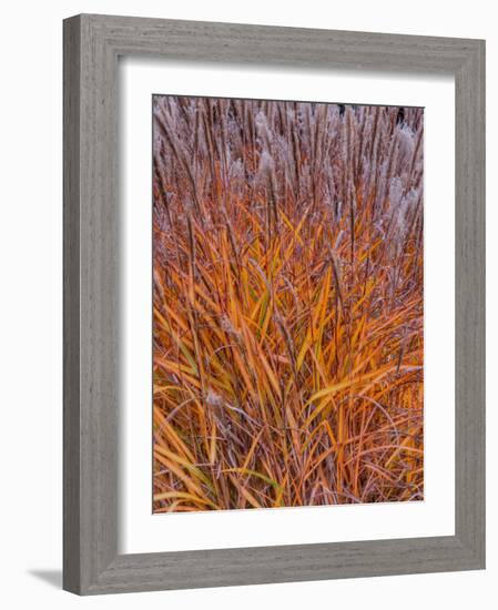 Realopia-Jim Crotty-Framed Photographic Print