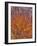 Realopia-Jim Crotty-Framed Photographic Print