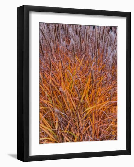 Realopia-Jim Crotty-Framed Photographic Print