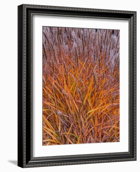 Realopia-Jim Crotty-Framed Photographic Print