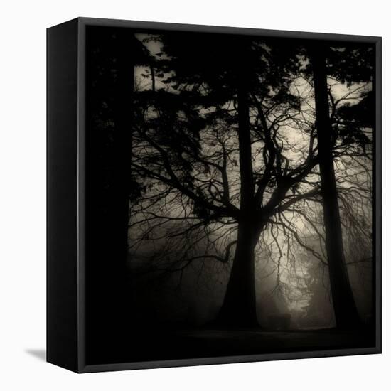 Realpoint-Sharon Wish-Framed Premier Image Canvas