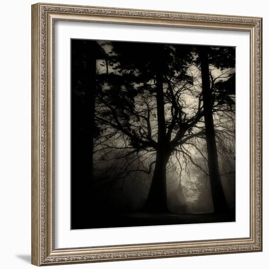 Realpoint-Sharon Wish-Framed Photographic Print