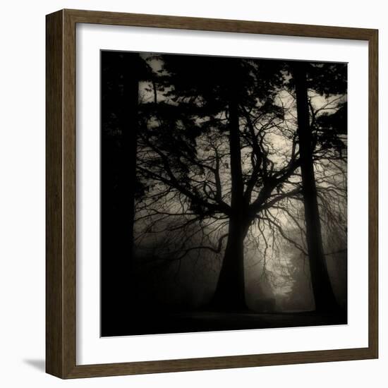 Realpoint-Sharon Wish-Framed Photographic Print