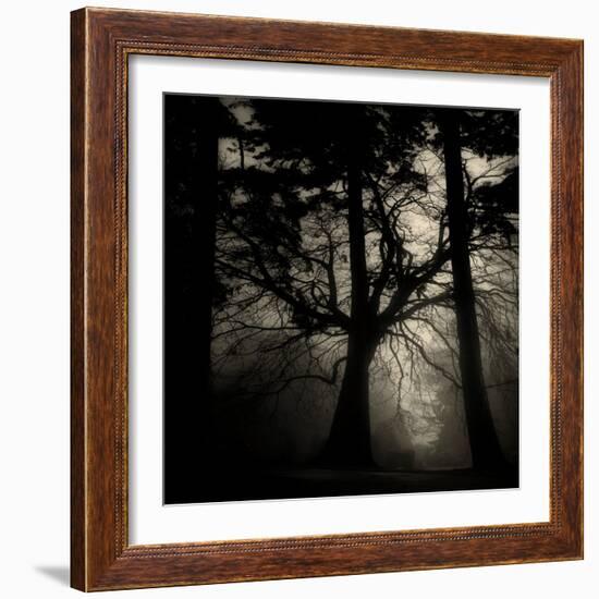 Realpoint-Sharon Wish-Framed Photographic Print