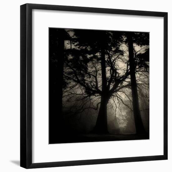 Realpoint-Sharon Wish-Framed Photographic Print