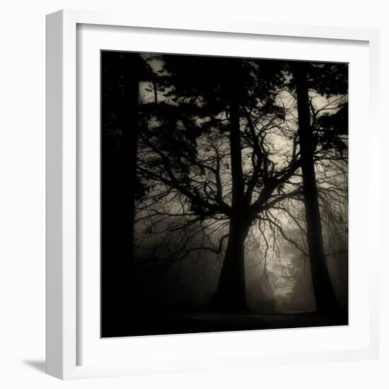 Realpoint-Sharon Wish-Framed Photographic Print