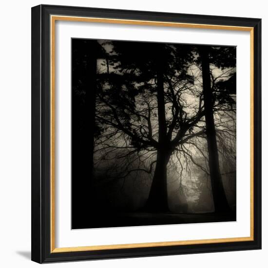 Realpoint-Sharon Wish-Framed Photographic Print