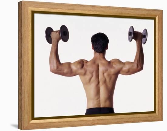 Rear View of a Man Holding Up Dumbbells-null-Framed Premier Image Canvas