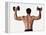 Rear View of a Man Holding Up Dumbbells-null-Framed Premier Image Canvas