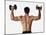 Rear View of a Man Holding Up Dumbbells-null-Mounted Photographic Print