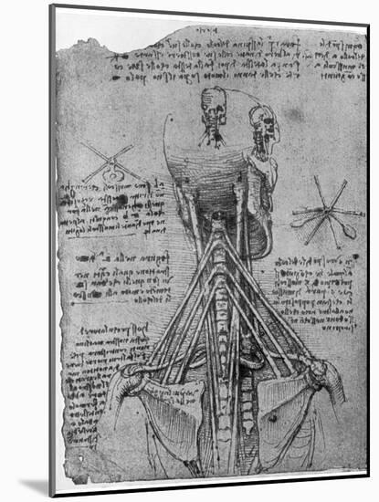 Rear View of a Skeleton Showing the Sinews of the Neck, Late 15th or Early 16th Century-Leonardo da Vinci-Mounted Giclee Print