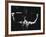 Rear View of a Young Man Exercise on a Lateral Pull-Down Weight Machine-null-Framed Photographic Print