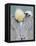 Rear View of Brown Pelican Adult, La Jolla, California, USA-Arthur Morris-Framed Premier Image Canvas