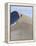 Rear View of Woman Running Up a Sand Dune-null-Framed Premier Image Canvas