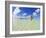 Rear View of Woman With Mask, Kadhdhoo Island, Laamu Atoll, Southern Maldives-Stuart Westmorland-Framed Photographic Print