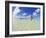 Rear View of Woman With Mask, Kadhdhoo Island, Laamu Atoll, Southern Maldives-Stuart Westmorland-Framed Photographic Print