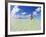 Rear View of Woman With Mask, Kadhdhoo Island, Laamu Atoll, Southern Maldives-Stuart Westmorland-Framed Photographic Print