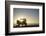 Rear View of Young Couple in Pick-Up Truck Parked in Front of Ocean Enjoying Sunset-Nosnibor137-Framed Photographic Print