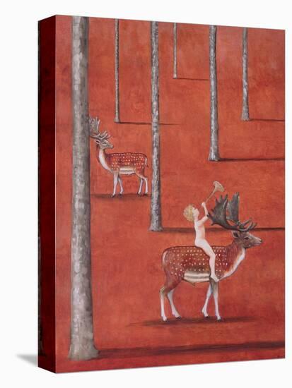 Stretched Canvas Print, , large