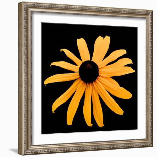 Rebecca Daisy-Ike Leahy-Framed Photographic Print