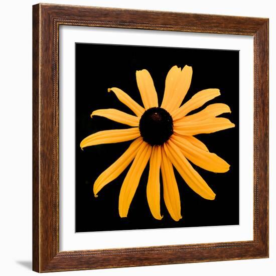 Rebecca Daisy-Ike Leahy-Framed Photographic Print