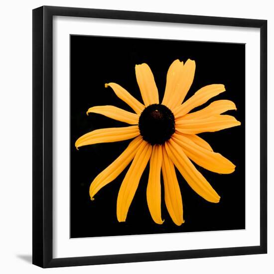 Rebecca Daisy-Ike Leahy-Framed Photographic Print