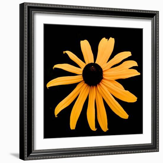 Rebecca Daisy-Ike Leahy-Framed Photographic Print