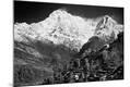 Photographic Print