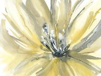 Blooms and Buds-Rebecca Meyers-Stretched Canvas