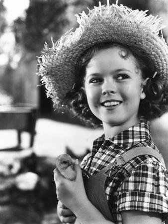 Rebecca Of Sunnybrook Farm Shirley Temple 1938 Photo Art Com