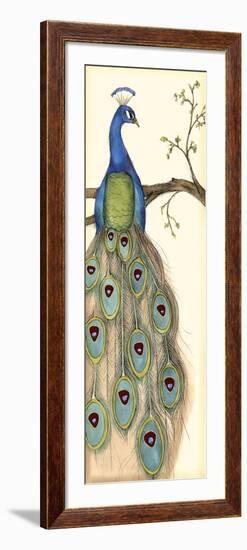 Rebecca's Peacock I-Jennifer Goldberger-Framed Art Print