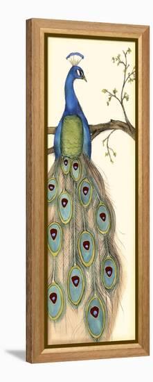 Rebecca's Peacock I-Jennifer Goldberger-Framed Stretched Canvas