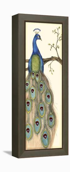 Rebecca's Peacock I-Jennifer Goldberger-Framed Stretched Canvas