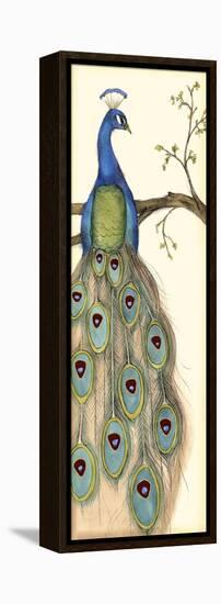 Rebecca's Peacock I-Jennifer Goldberger-Framed Stretched Canvas