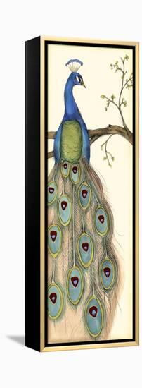 Rebecca's Peacock I-Jennifer Goldberger-Framed Stretched Canvas