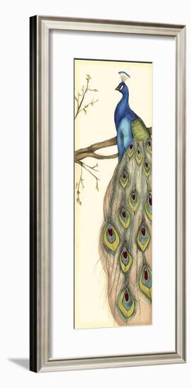 Rebecca's Peacock II-Jennifer Goldberger-Framed Art Print