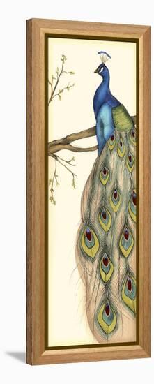 Rebecca's Peacock II-Jennifer Goldberger-Framed Stretched Canvas
