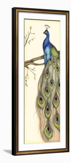 Rebecca's Peacock II-Jennifer Goldberger-Framed Art Print