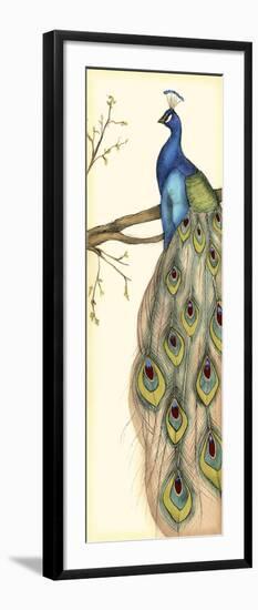 Rebecca's Peacock II-Jennifer Goldberger-Framed Art Print