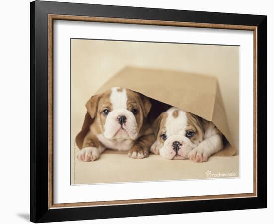 Rebel and Grumpy-Rachael Hale-Framed Photo