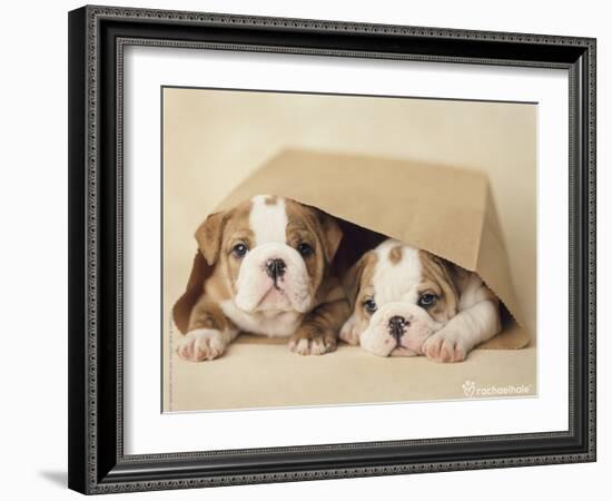 Rebel and Grumpy-Rachael Hale-Framed Photo