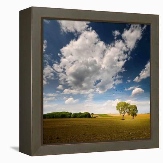 Rebel Sun-Philippe Sainte-Laudy-Framed Premier Image Canvas