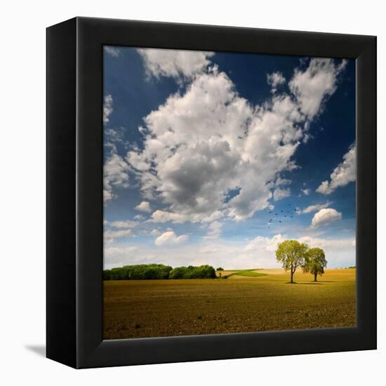 Rebel Sun-Philippe Sainte-Laudy-Framed Premier Image Canvas