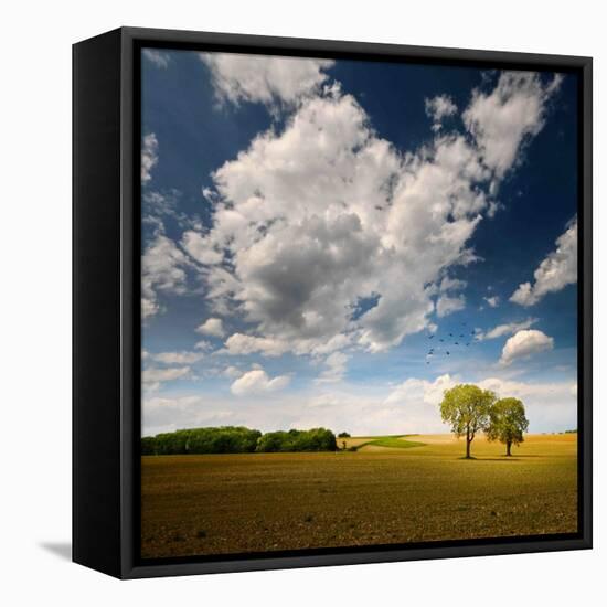 Rebel Sun-Philippe Sainte-Laudy-Framed Premier Image Canvas