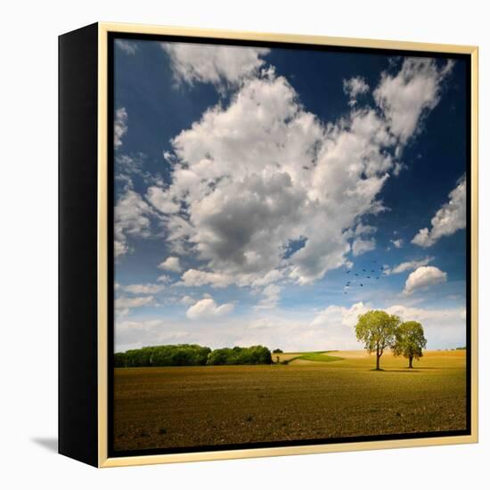 Rebel Sun-Philippe Sainte-Laudy-Framed Premier Image Canvas