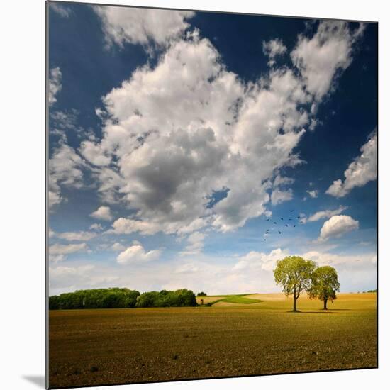 Rebel Sun-Philippe Sainte-Laudy-Mounted Premium Photographic Print