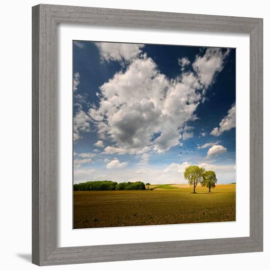 Rebel Sun-Philippe Sainte-Laudy-Framed Photographic Print