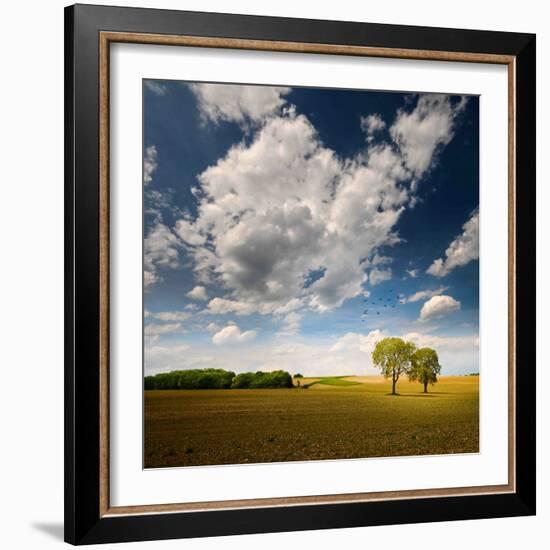 Rebel Sun-Philippe Sainte-Laudy-Framed Photographic Print