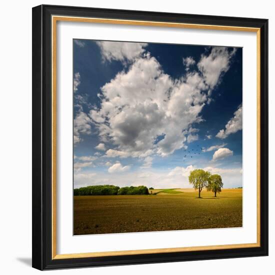 Rebel Sun-Philippe Sainte-Laudy-Framed Photographic Print