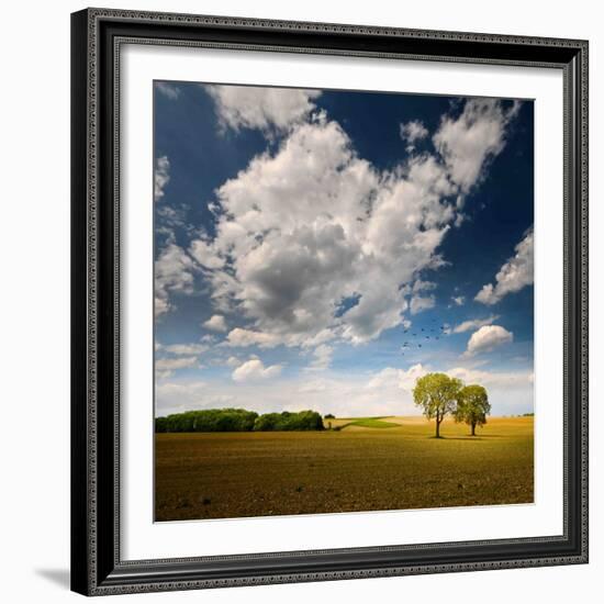 Rebel Sun-Philippe Sainte-Laudy-Framed Photographic Print